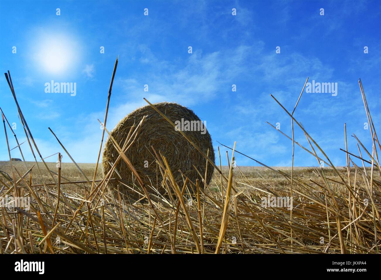 Blick aus dem Boden auf einem Strohballen mit Strohhalmen, Sonne und Wolken Stockfoto