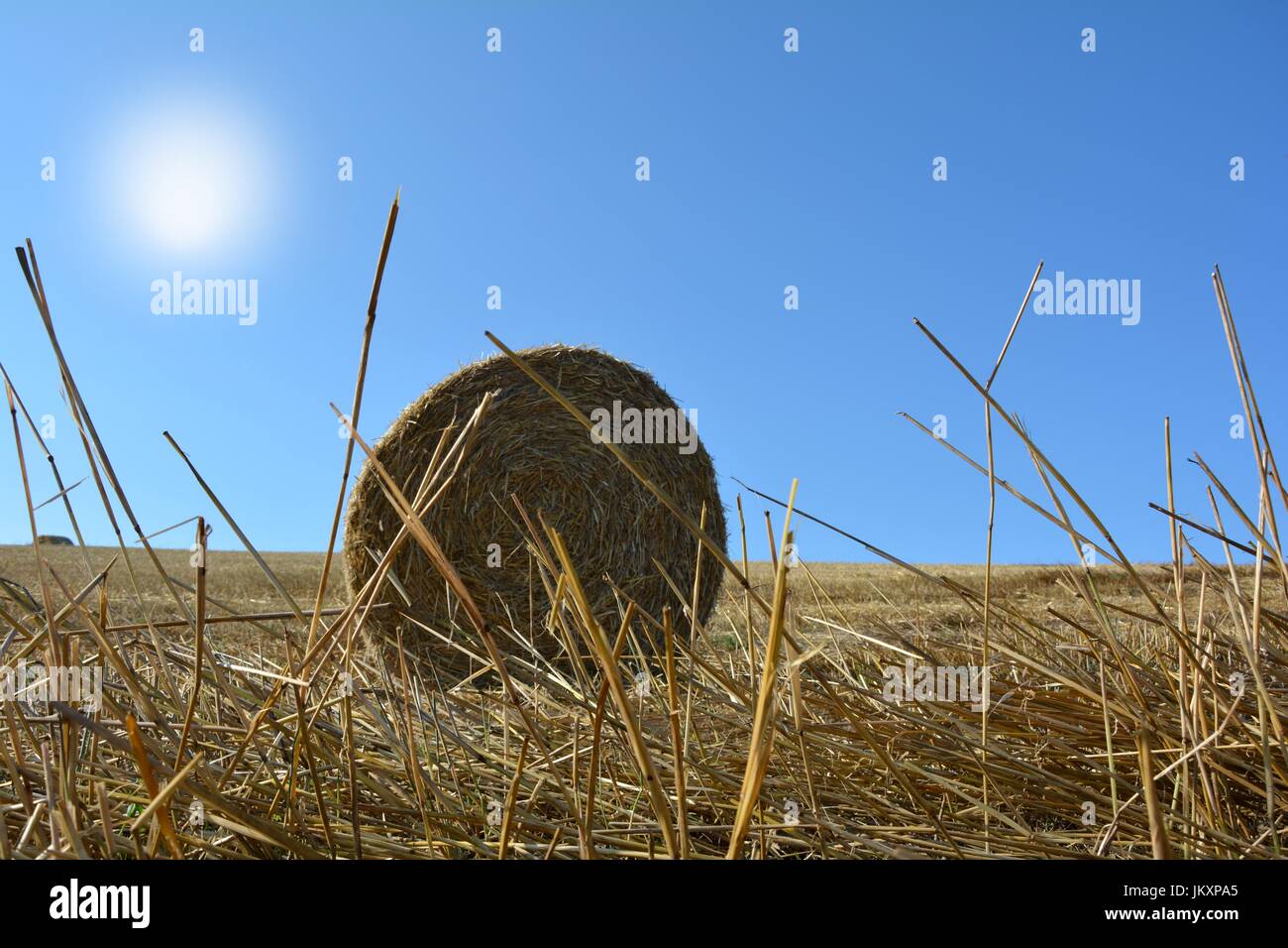 Blick aus dem Boden auf einem Strohballen mit einem Strohhalm Stockfoto