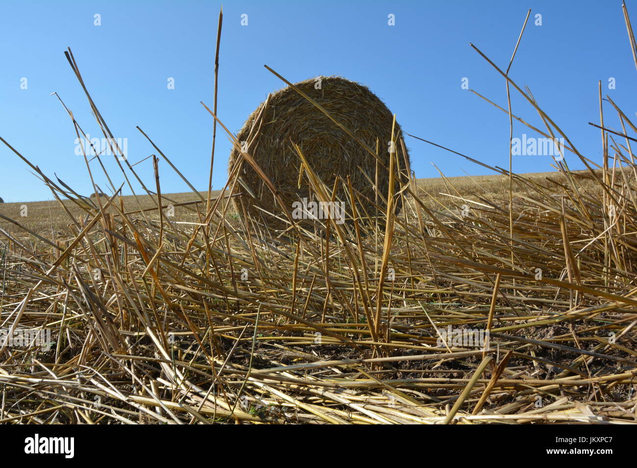 Blick aus dem Boden auf einem Strohballen mit einem Strohhalm Stockfoto