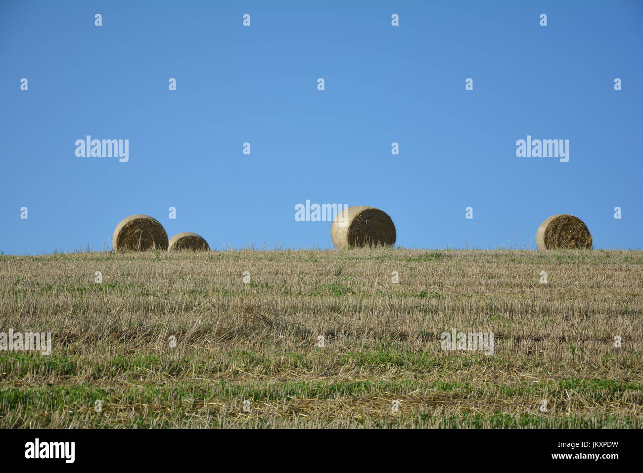 Mehrere Strohballen in Horizont auf abgeernteten Feld Stockfoto