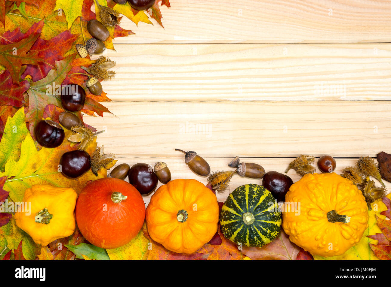 Bunte herbstliche Laub und Kürbisse liegen auf Holzbrettern Stockfoto