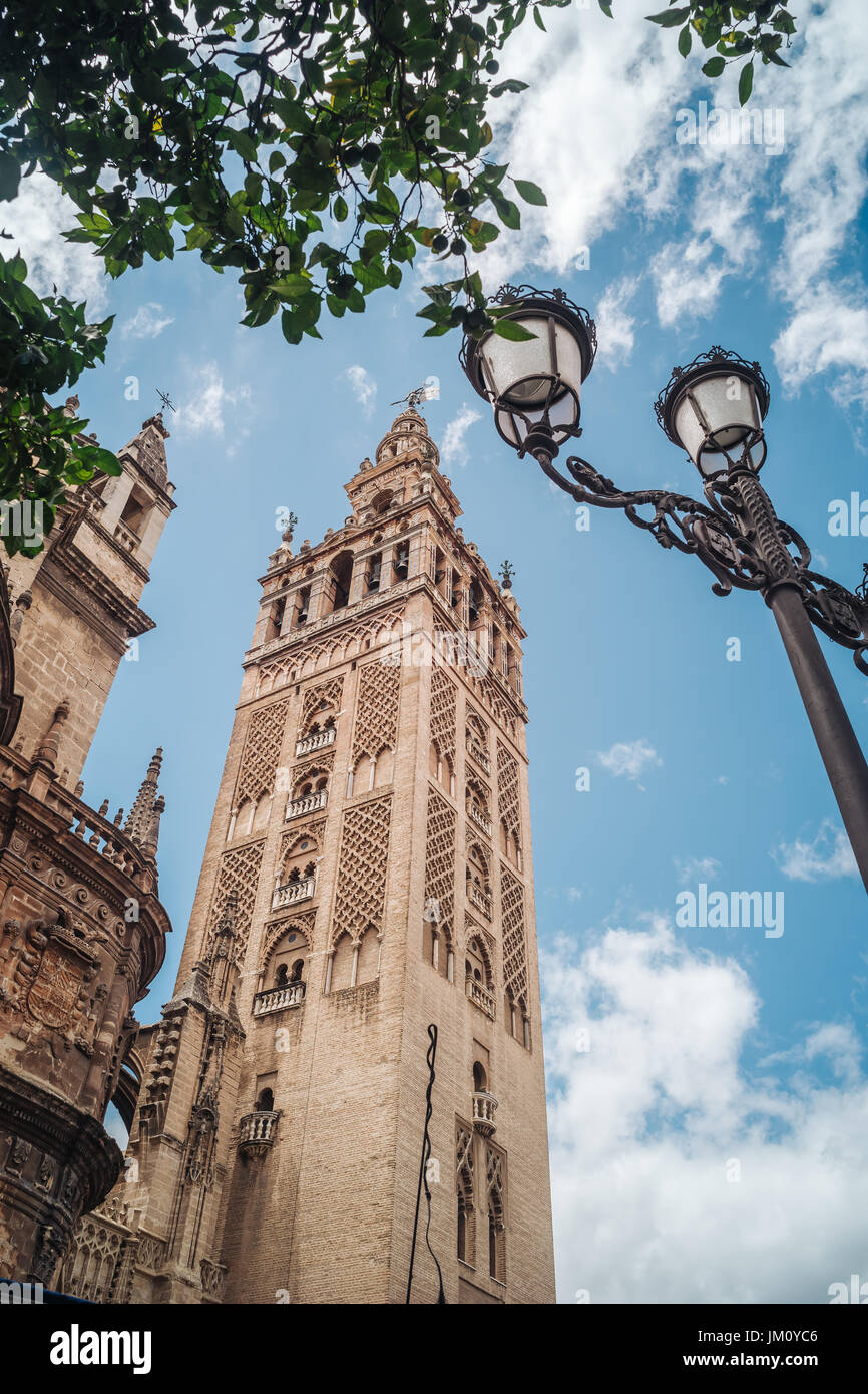 Die wunderbare Giralda Turm aus der Kathedrale in Sevilla Andalusien, Spanien Stockfoto