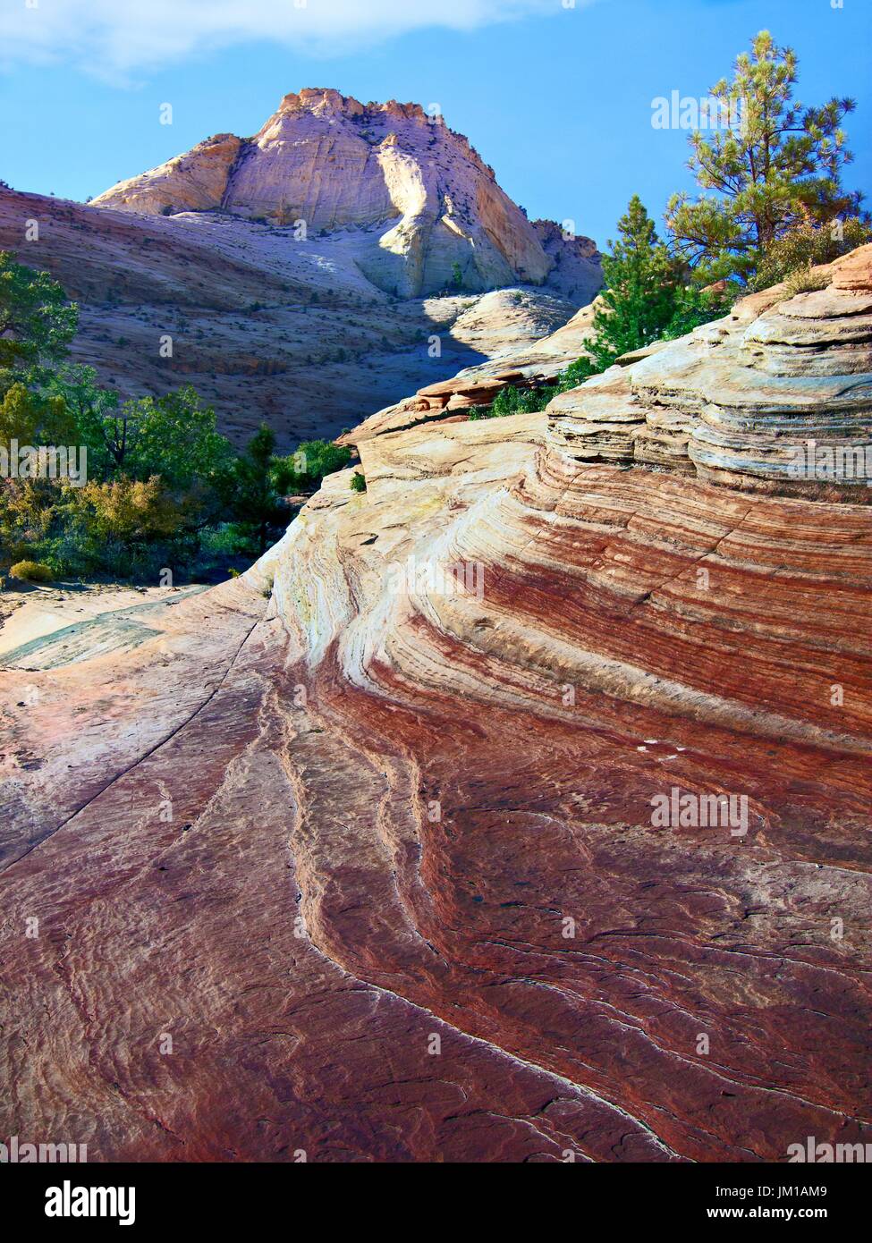 Ein Blick auf die bergige Landschaft der Zion National Park, Utah, USA Stockfoto