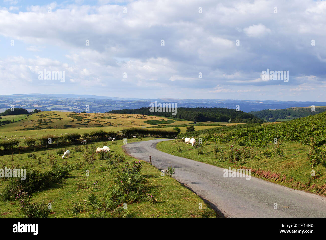 Heu-Bluff, Brecon Beacons, Powys, wales Stockfoto