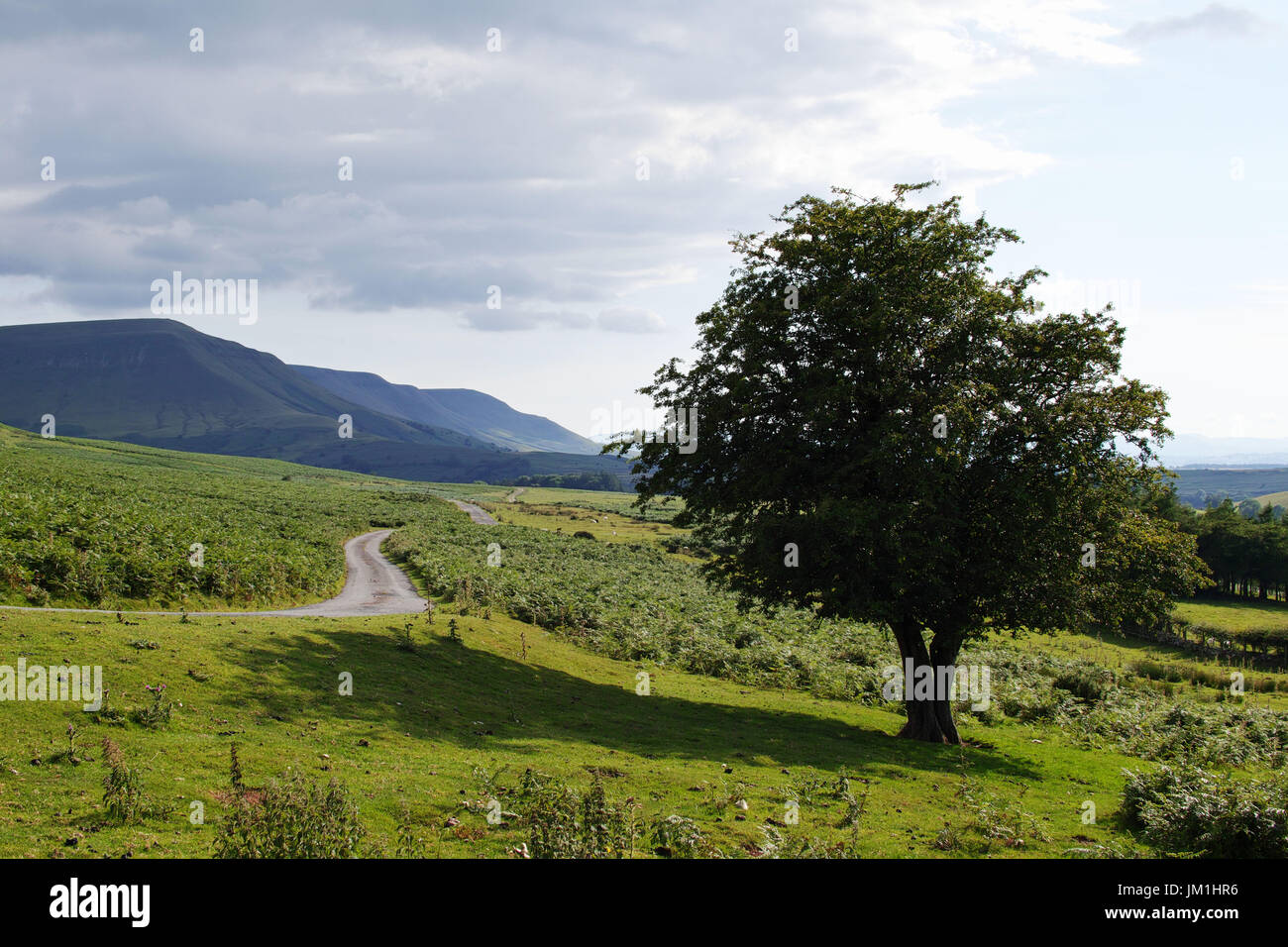 Heu-Bluff, Brecon Beacons, Powys, wales Stockfoto