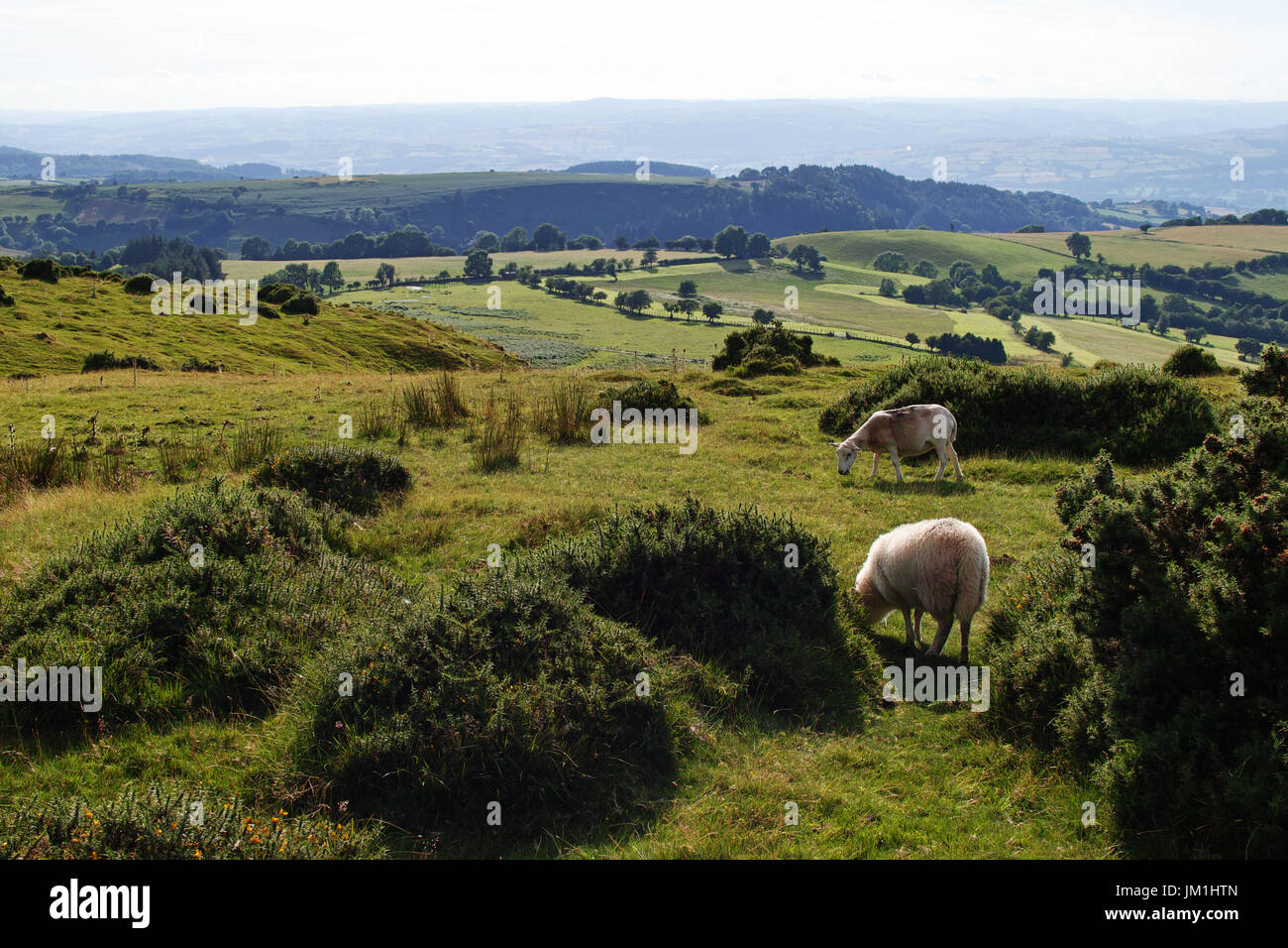 Heu-Bluff, Brecon Beacons, Powys, wales Stockfoto