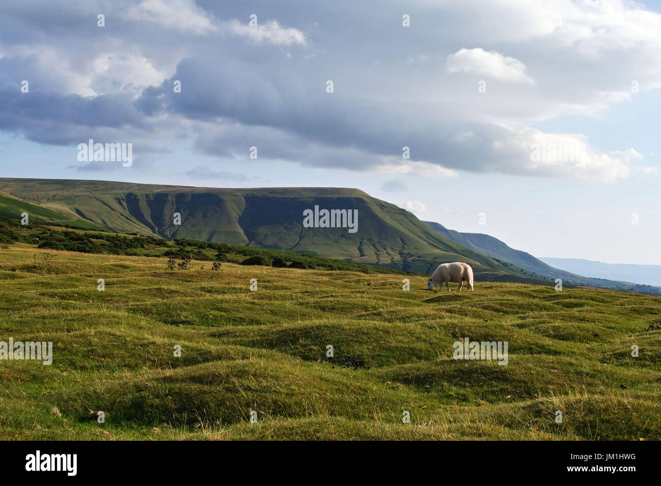 Heu-Bluff, Brecon Beacons, Powys, wales Stockfoto