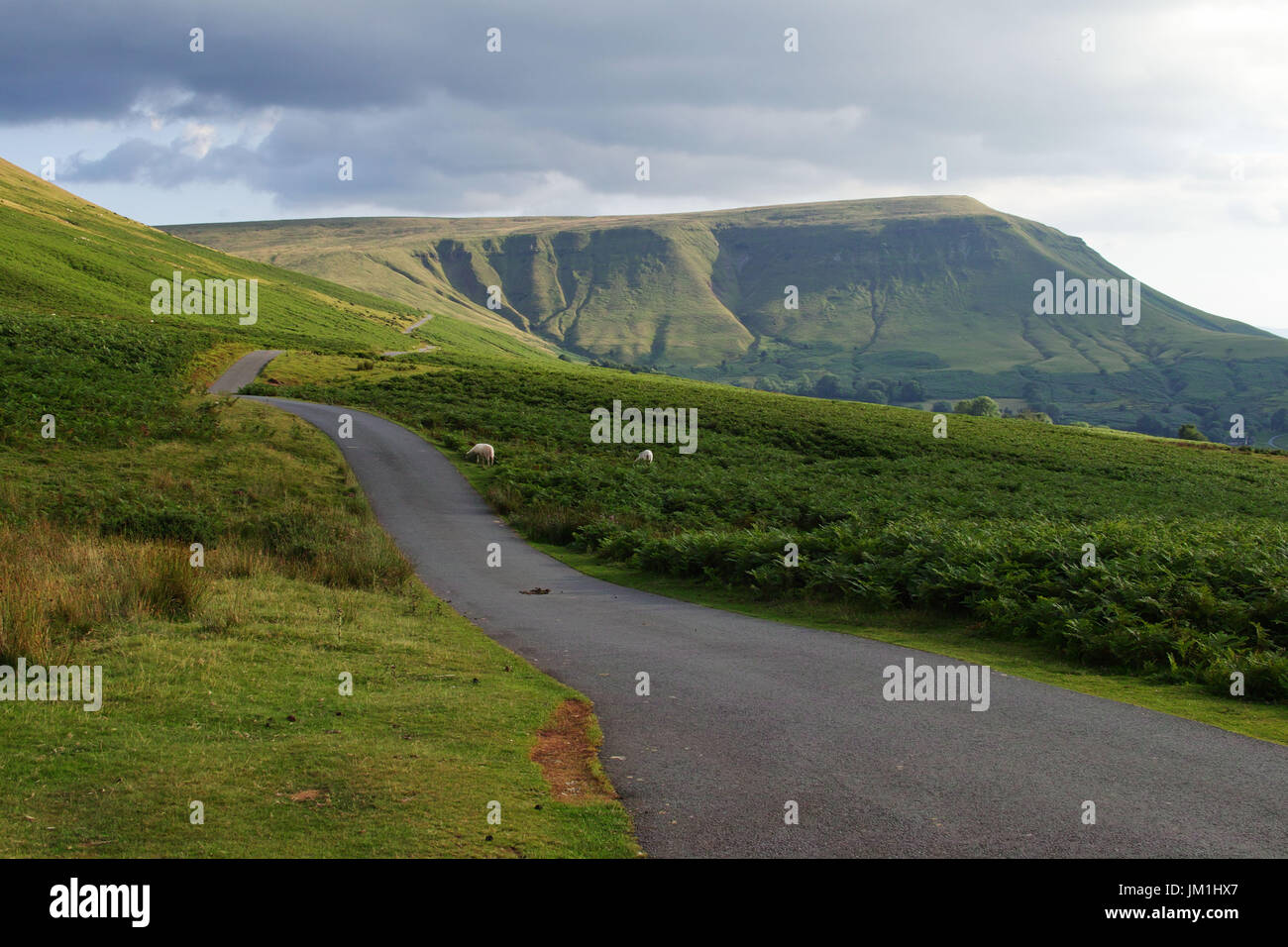 Heu-Bluff, Brecon Beacons, Powys, wales Stockfoto