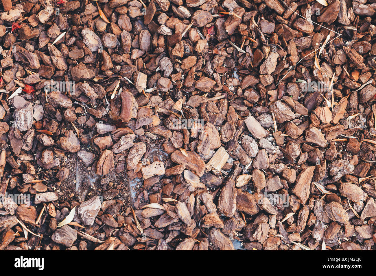 Dekorative Rinde Textur Hintergrund Stockfoto