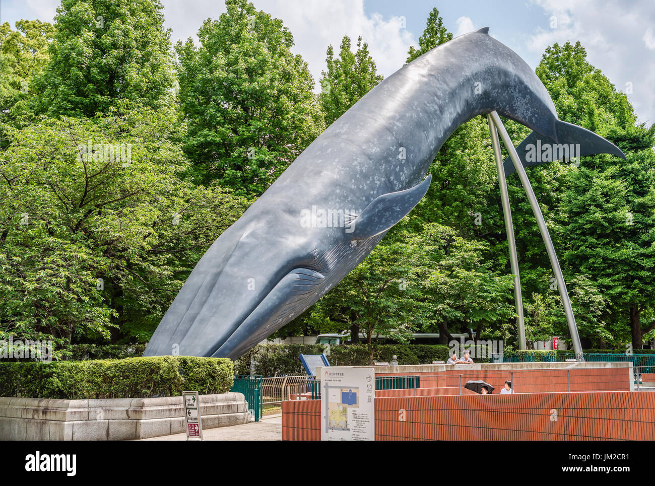 Wal-Sculture vor National Museum of Nature and Science im Ueno Park, Tokyo, Japan Stockfoto