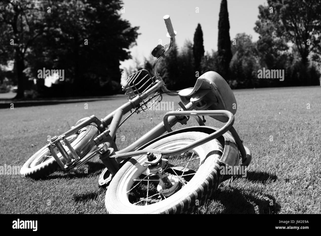 Fahrrad im park Stockfoto