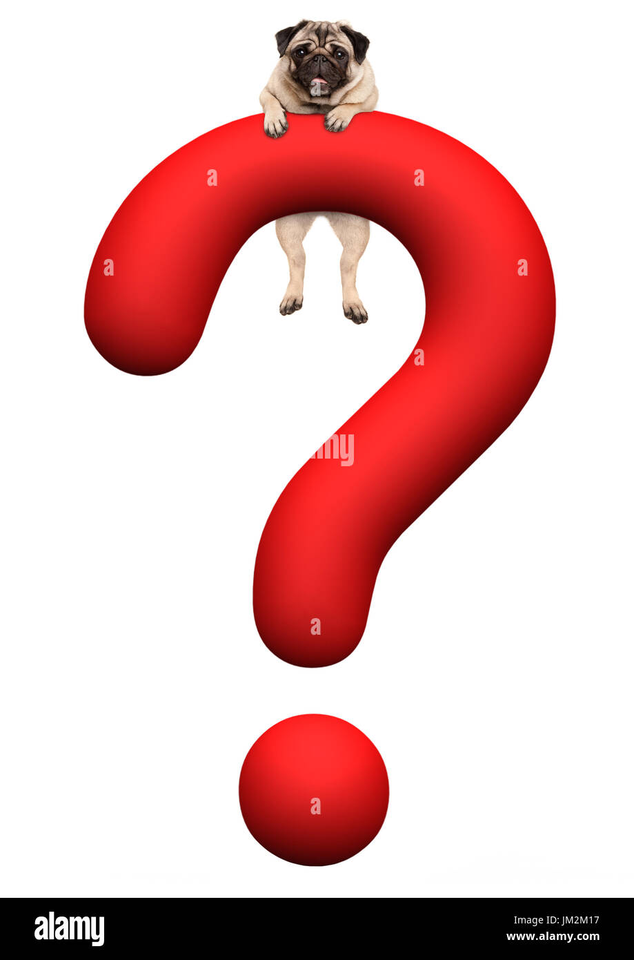 lustige Mops Welpen hängen mit Pfoten auf rote 3d gerenderten Fragezeichen, isoliert auf weißem Hintergrund Stockfoto