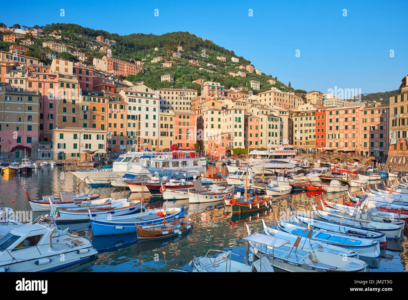 Camogli typisches Dorf mit bunten Häusern und kleinen Hafen in Italien, Ligurien bei Sonnenuntergang Stockfoto