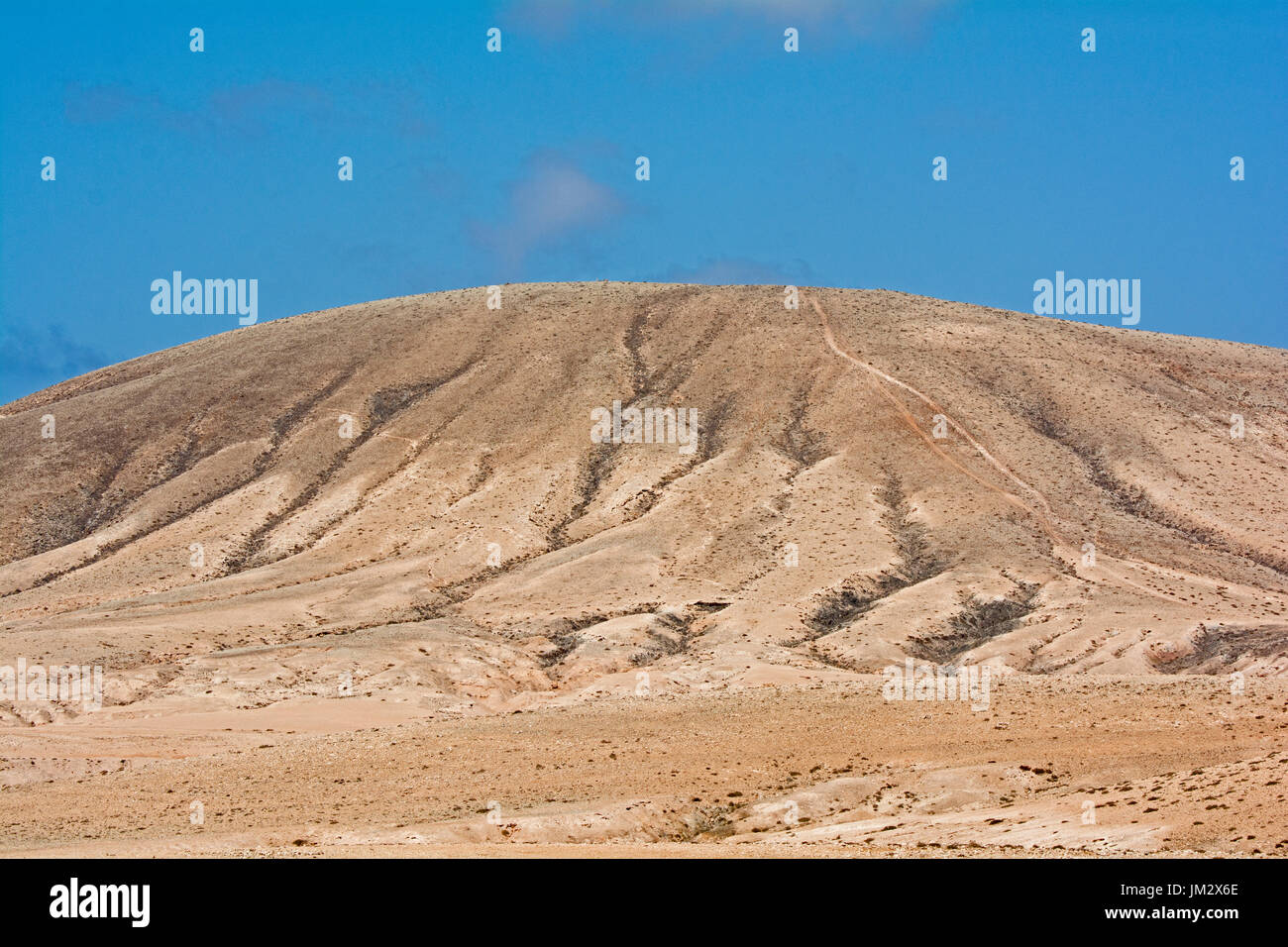 Semi-ariden Lebensraum mit cremefarbenen Renner, Berthelot Pieper und Houbara Bustard, Plain Tindaya Fuerteventura, Kanarische Inseln Stockfoto