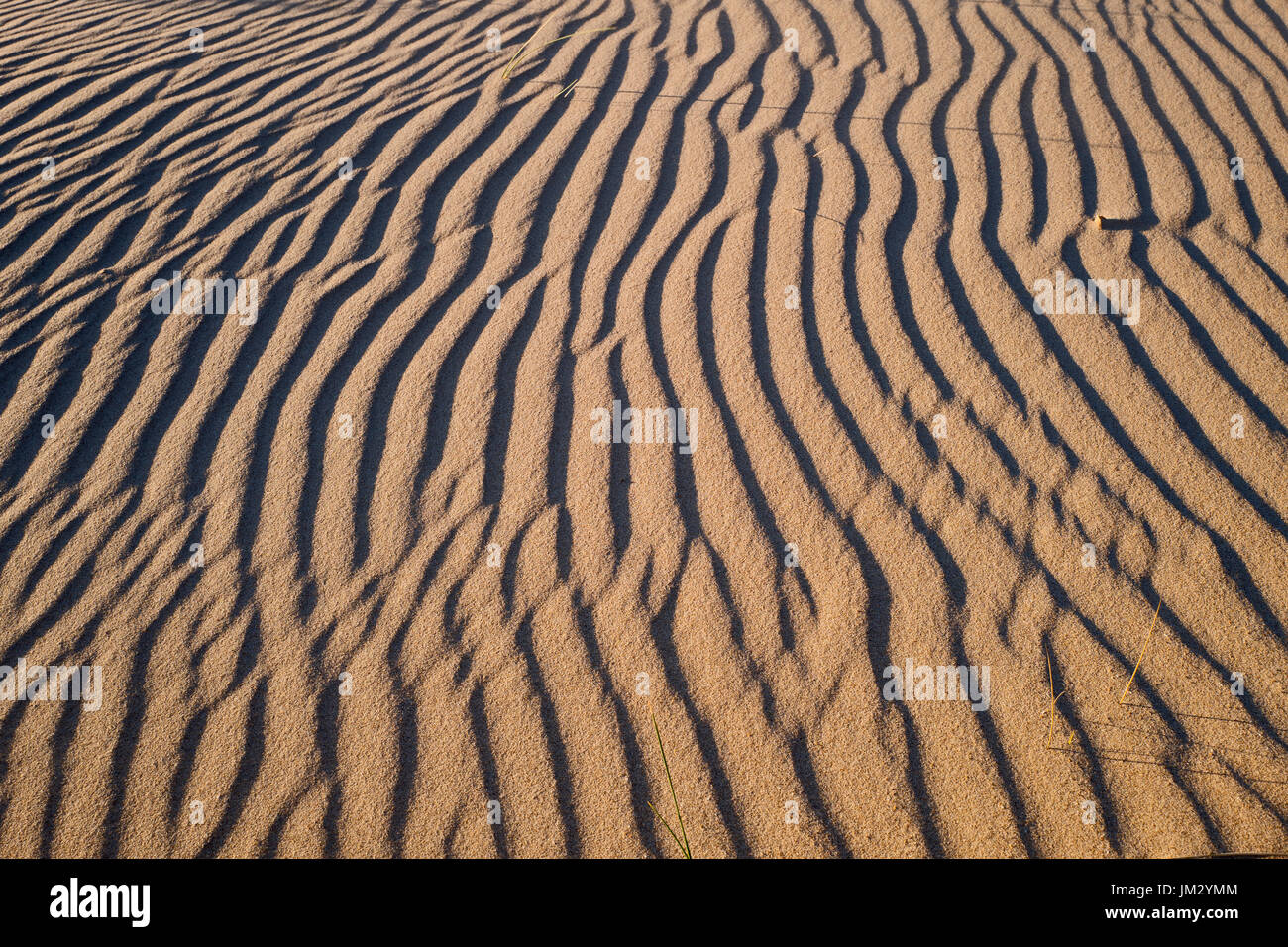 Muster in den Sand und Strand, Holkham National Nature Reserve, North Norfolk Stockfoto