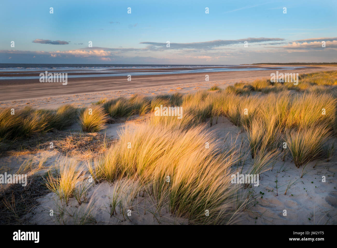 Dünen und Strand, Holkham National Nature Reserve, North Norfolk Stockfoto