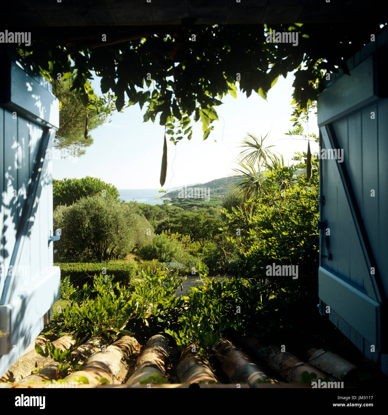 Blick durch geöffnete Fensterläden Stockfoto