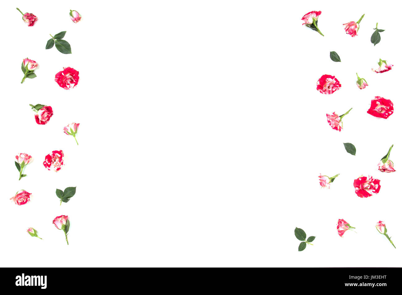 Blumen Komposition. Rahmen aus rosa Blüten. Flach, Ansicht von oben Stockfoto