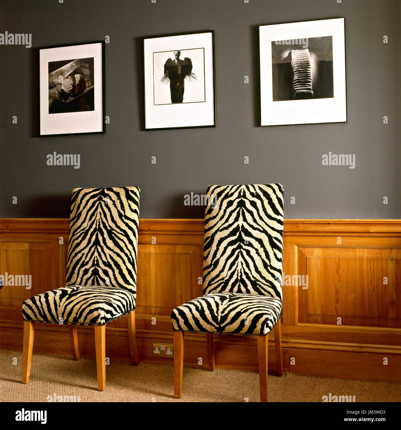 Zebra-Druck Stühle unten hängen Fotos Stockfoto