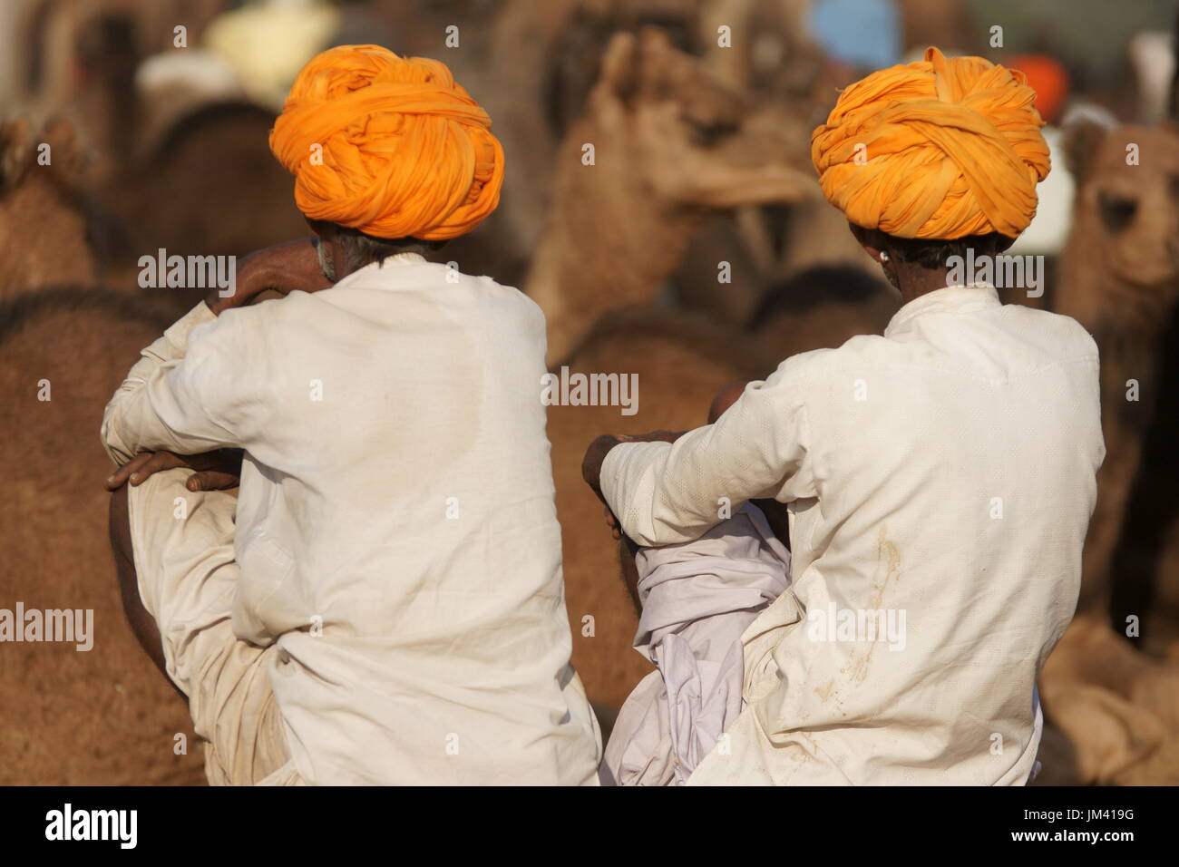 Kamele Hirten entspannen unter den Massen von Kamelen auf dem Jahrmarkt Pushkar in Rajasthan, Indien Stockfoto