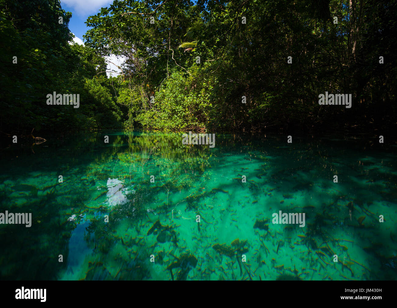 Grünes Wasserfluss, Provinz Sanma, Espiritu Santo, Vanuatu Stockfoto