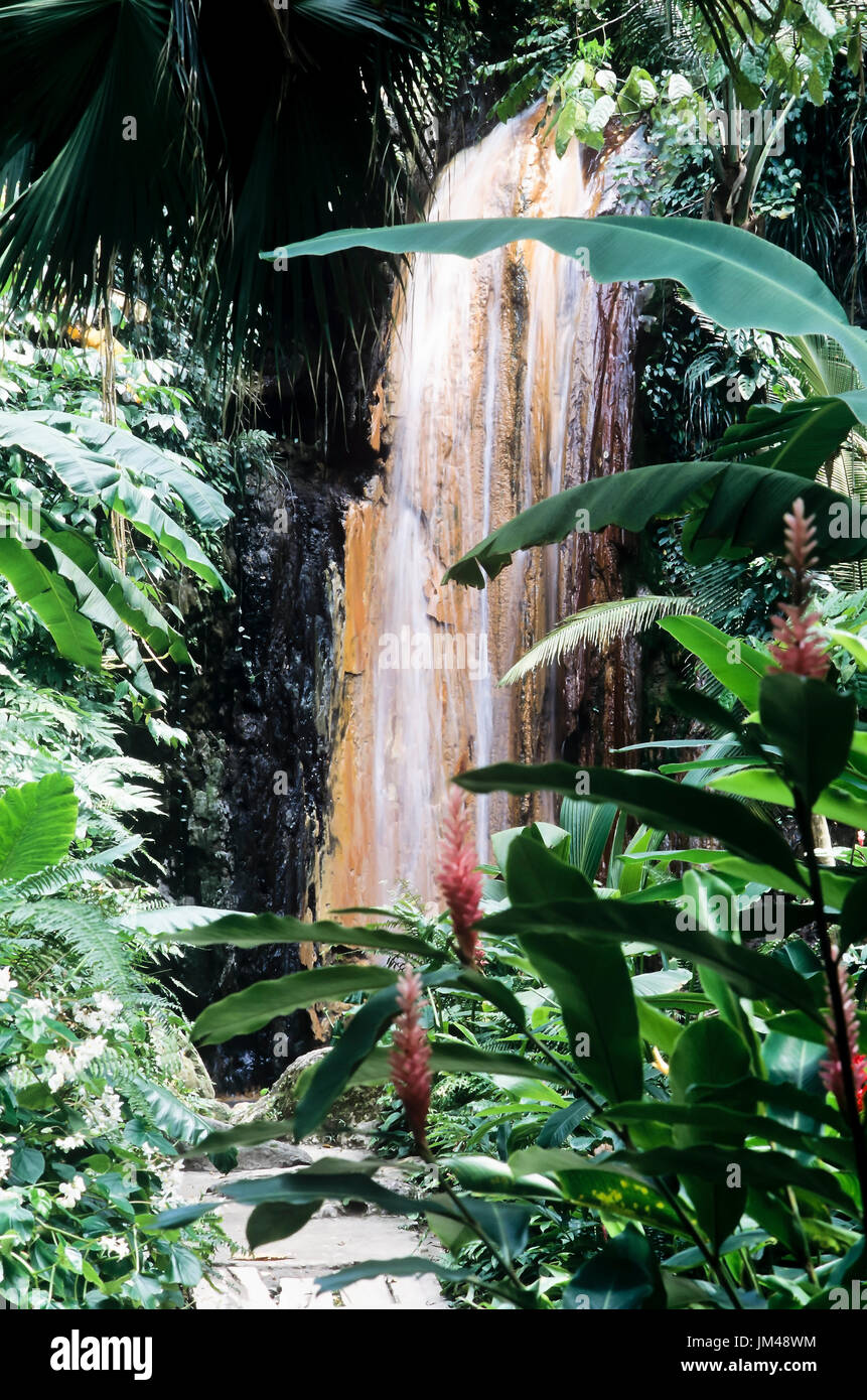 Wasserfall mit tropischen Pflanzen Stockfoto