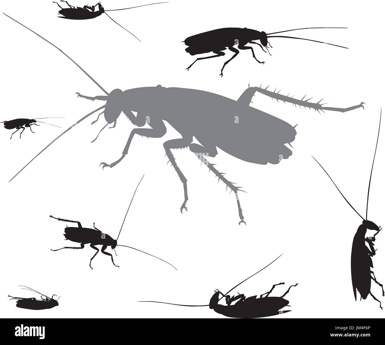Vektor-Insekten-Sammlung Stock Vektor