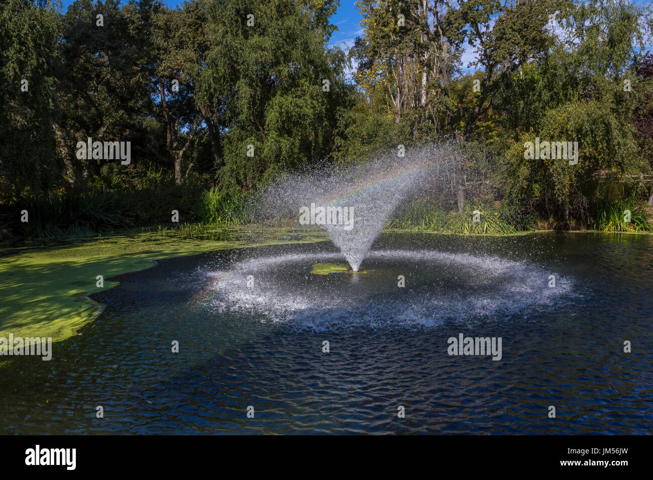 Wasser, Brunnen, Brunnen, Teich, Garten, weit Niente Weingut, Oakville, Napa Valley, Napa County, Kalifornien Stockfoto