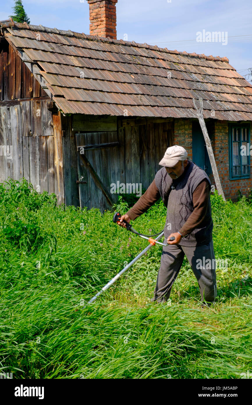 Mann mit einem Trimmgerät zu lang geschnitten grass im Garten eines ländlichen Hauses in einem Dorf in Ungarn Zala Grafschaft Stockfoto