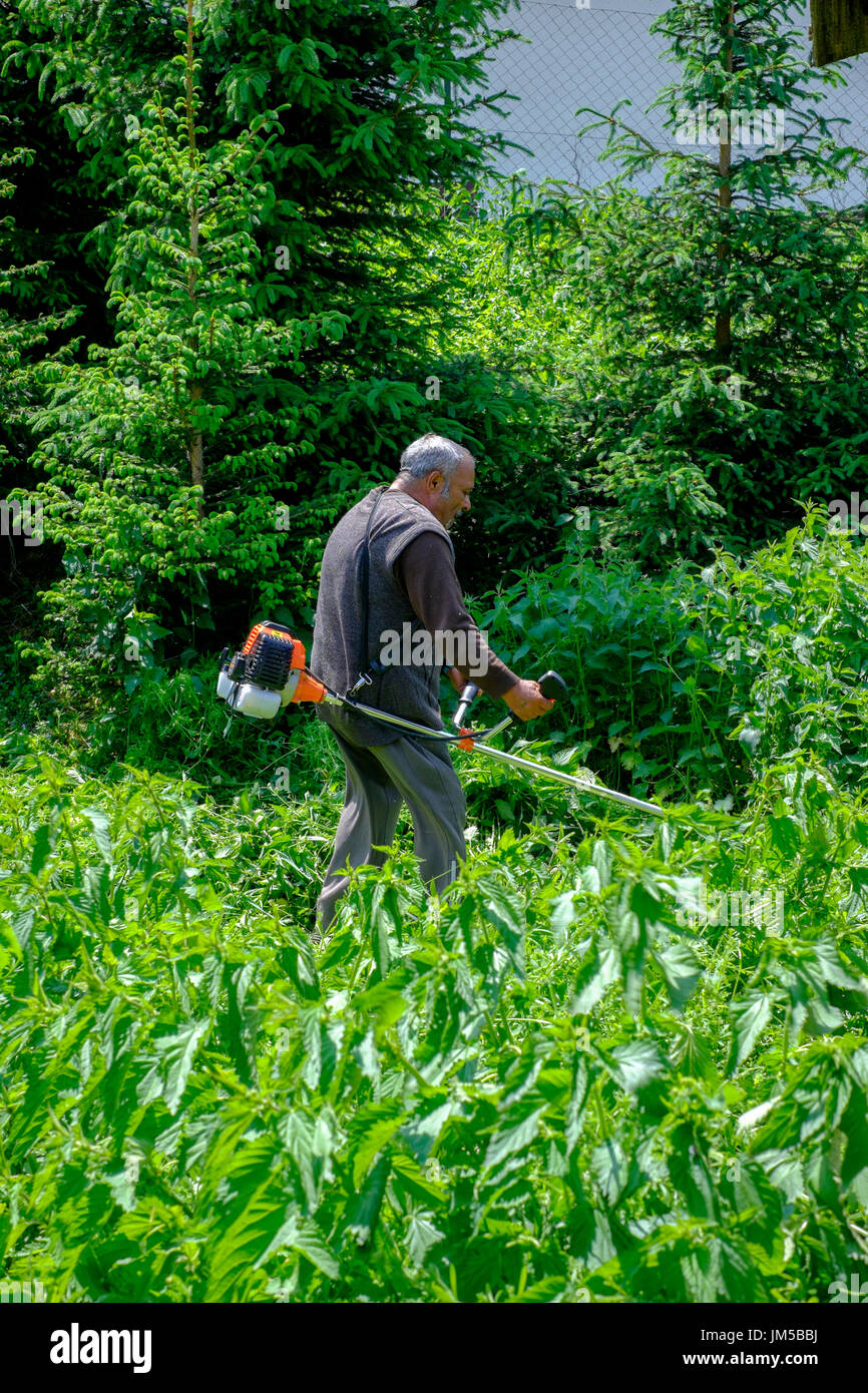 Mann mit einem Trimmgerät zu lang geschnitten grass im Garten eines ländlichen Hauses in einem Dorf in Ungarn Zala Grafschaft Stockfoto