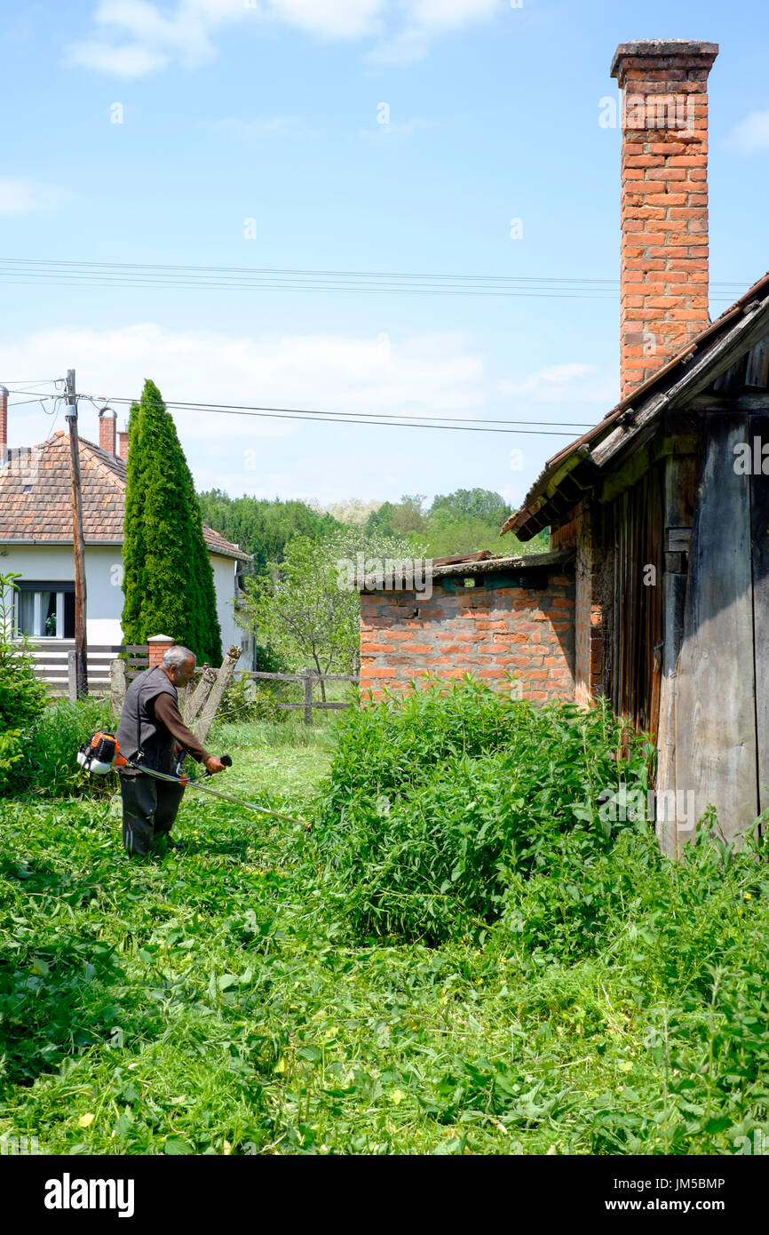 Mann mit einem Trimmgerät zu lang geschnitten grass im Garten eines ländlichen Hauses in einem Dorf in Ungarn Zala Grafschaft Stockfoto