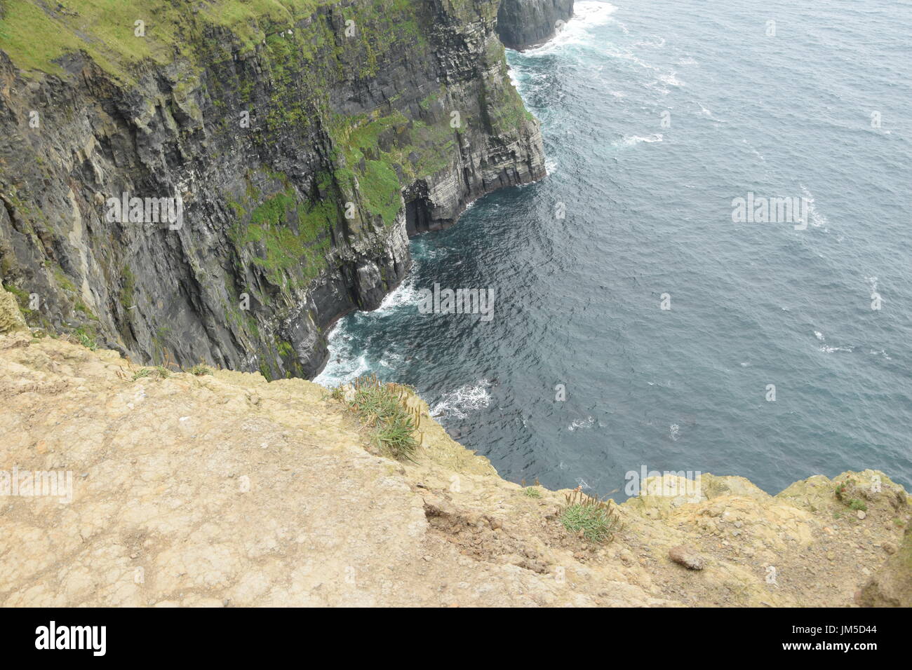 Cliff drop der Cliffs of Moher im County Clare, im Westen Irlands Stockfoto