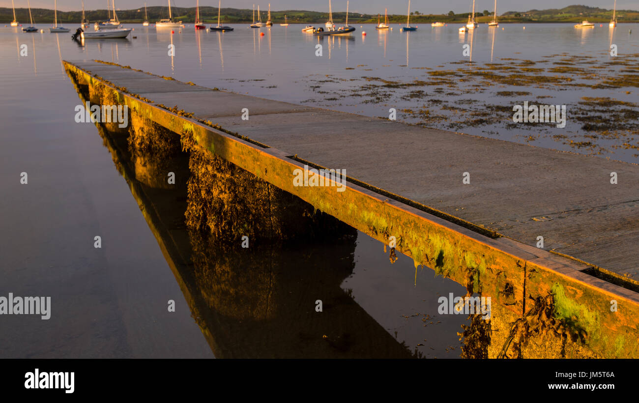 Sonnenaufgang in Killyleagh Marina am Ufer des Strangford Lough, County Down, Nordirland in Juli 2017. Stockfoto