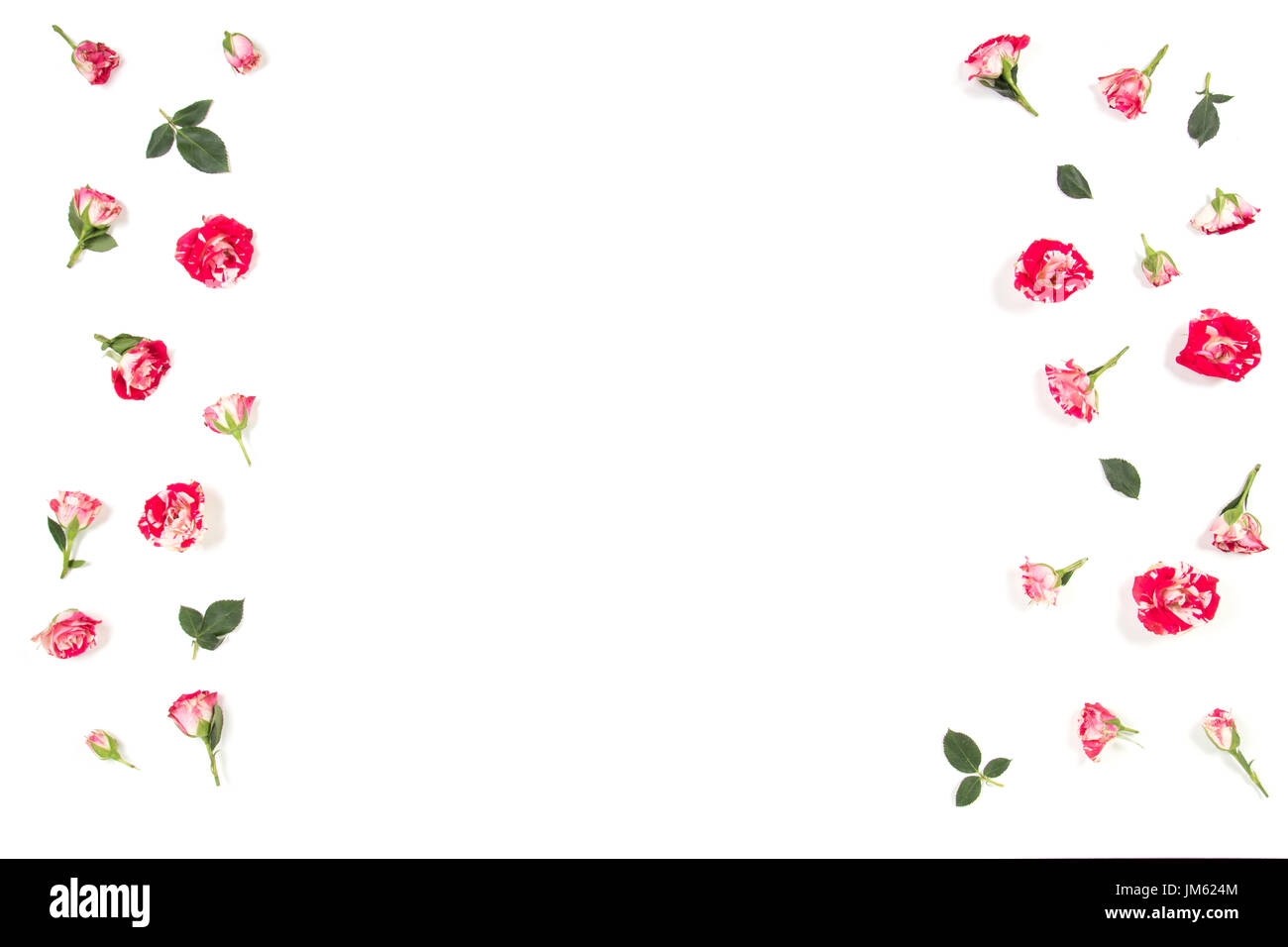 Blumen-Komposition. Gestell aus Rosenblüten. Flach legen, Top Aussicht Stockfoto