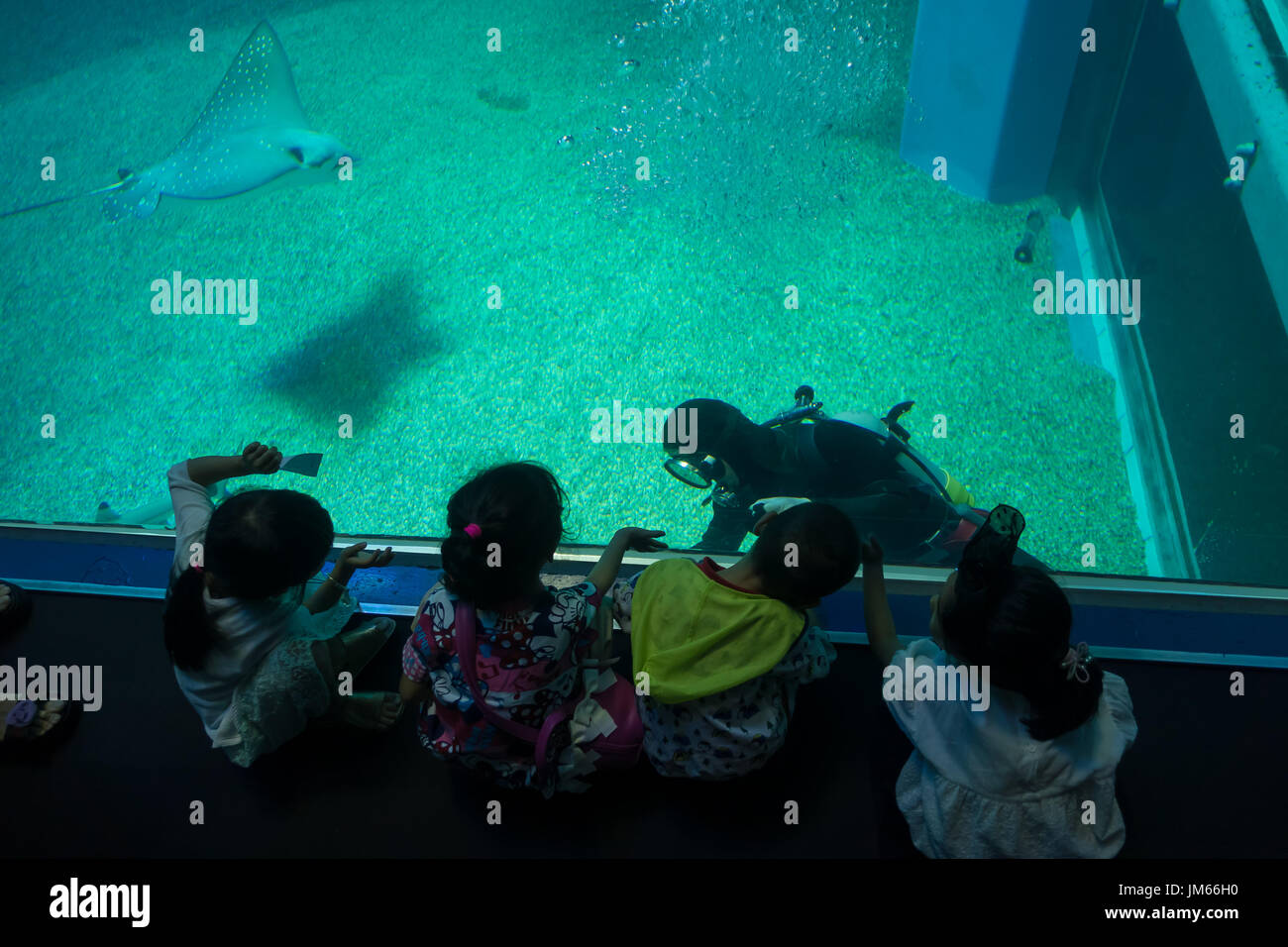 OSAKA, JAPAN - 18. Juli 2017: Unbekannte Kinder freuen sich über Meerestiere und und Blick auf Taucher in Osaka Aquarium Kaiyukan in Osaka, Japan Stockfoto