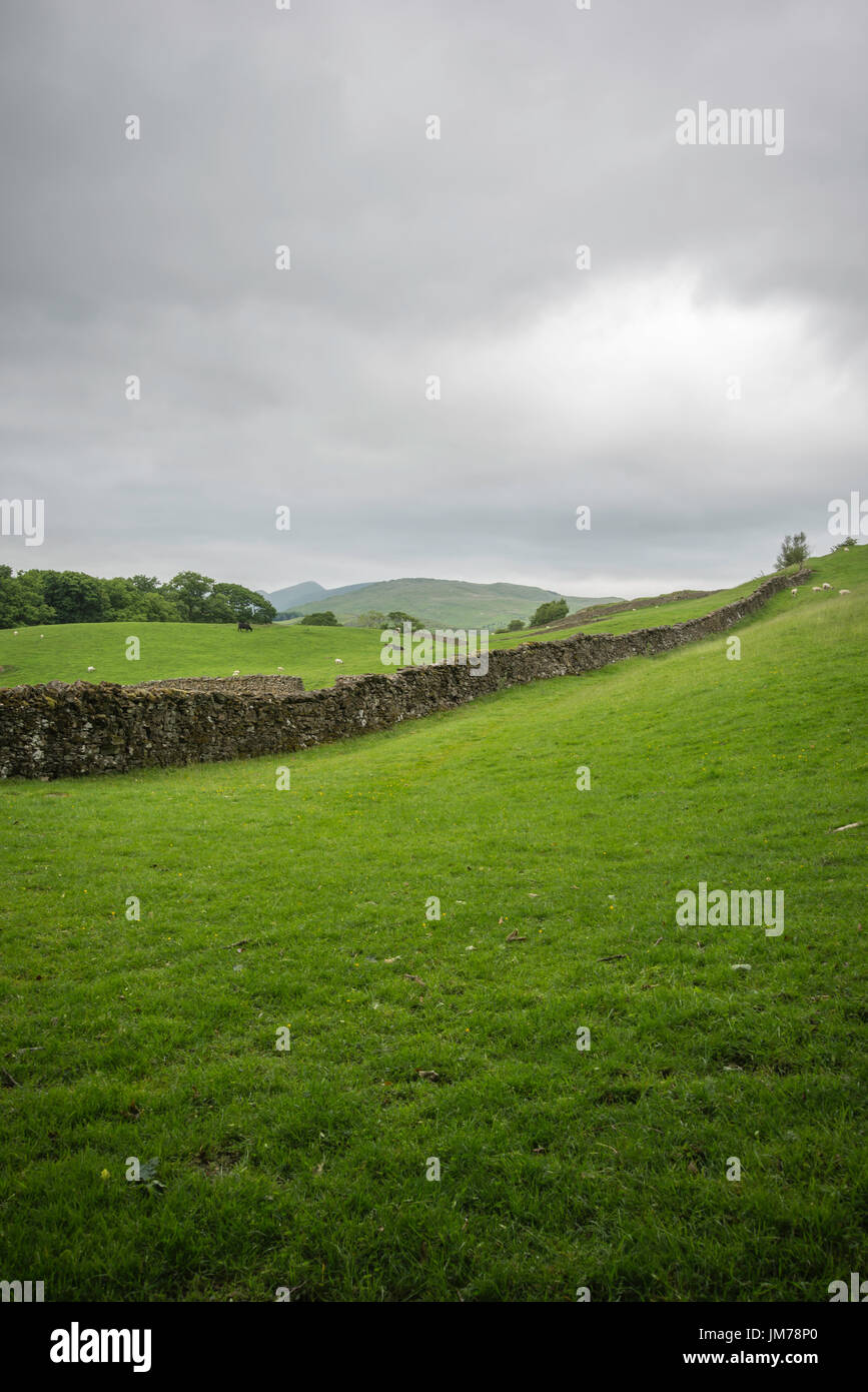 Einen freien Blick auf eine grüne Weide mit Steinzaun befindet sich in Wales, UK Stockfoto