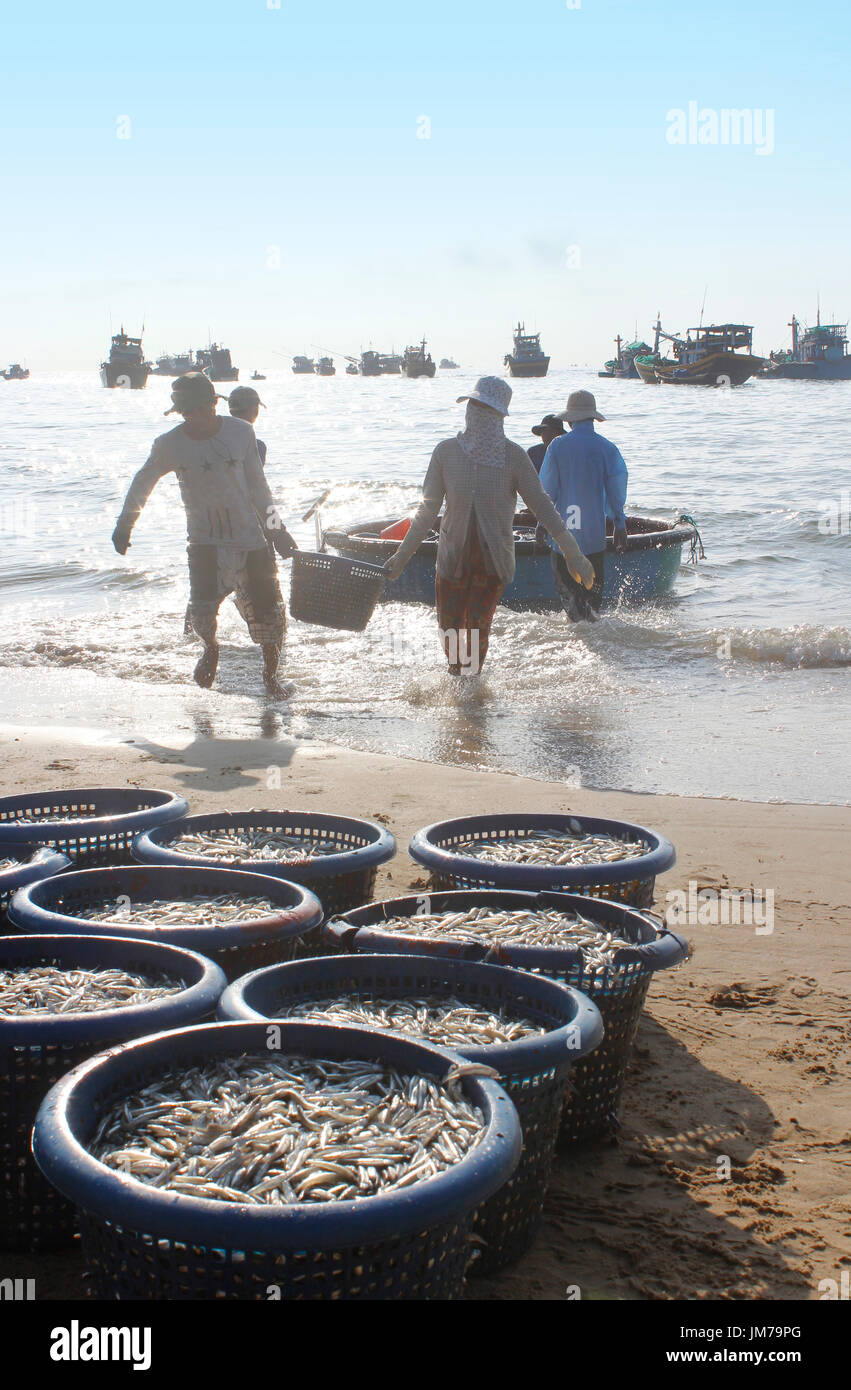 Mui Ne, Vietnam - 27. Juni 2017: Überfüllten Szene tägliche morgendliche Fischmarkt am Strand mit den Fischern tragen Körbe mit Fisch Stockfoto