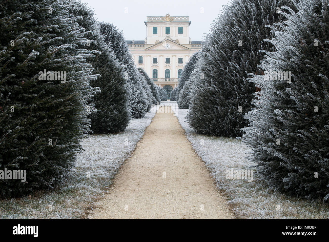 Esterhazy schloss Hinterhof im Winter mit Schmutz der Straße und Eiben, Fertod Stockfoto