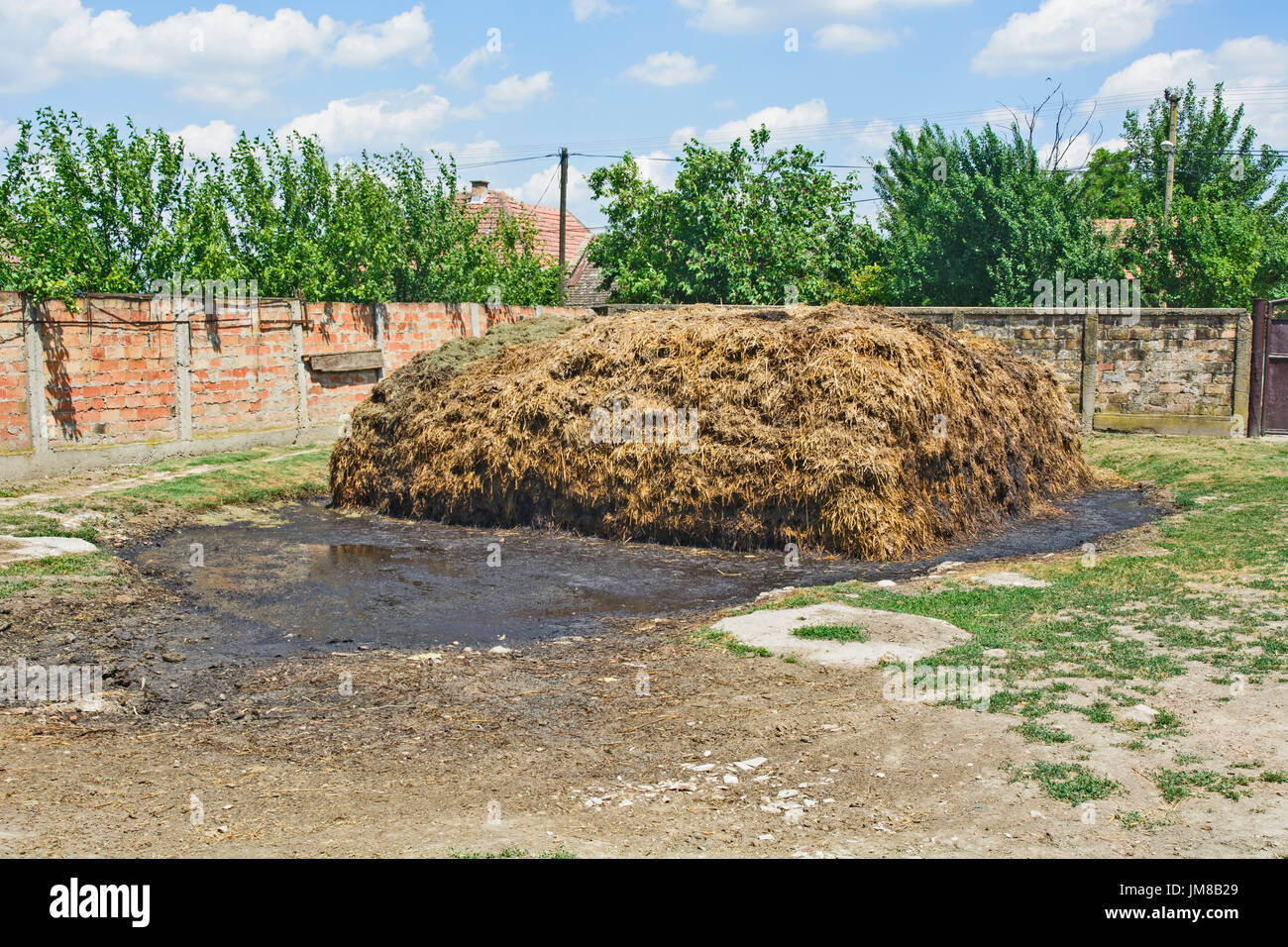 Haufen Kuhdung gebrauchsfertig, natrlichen Dnger Stockfotografie - Alamy