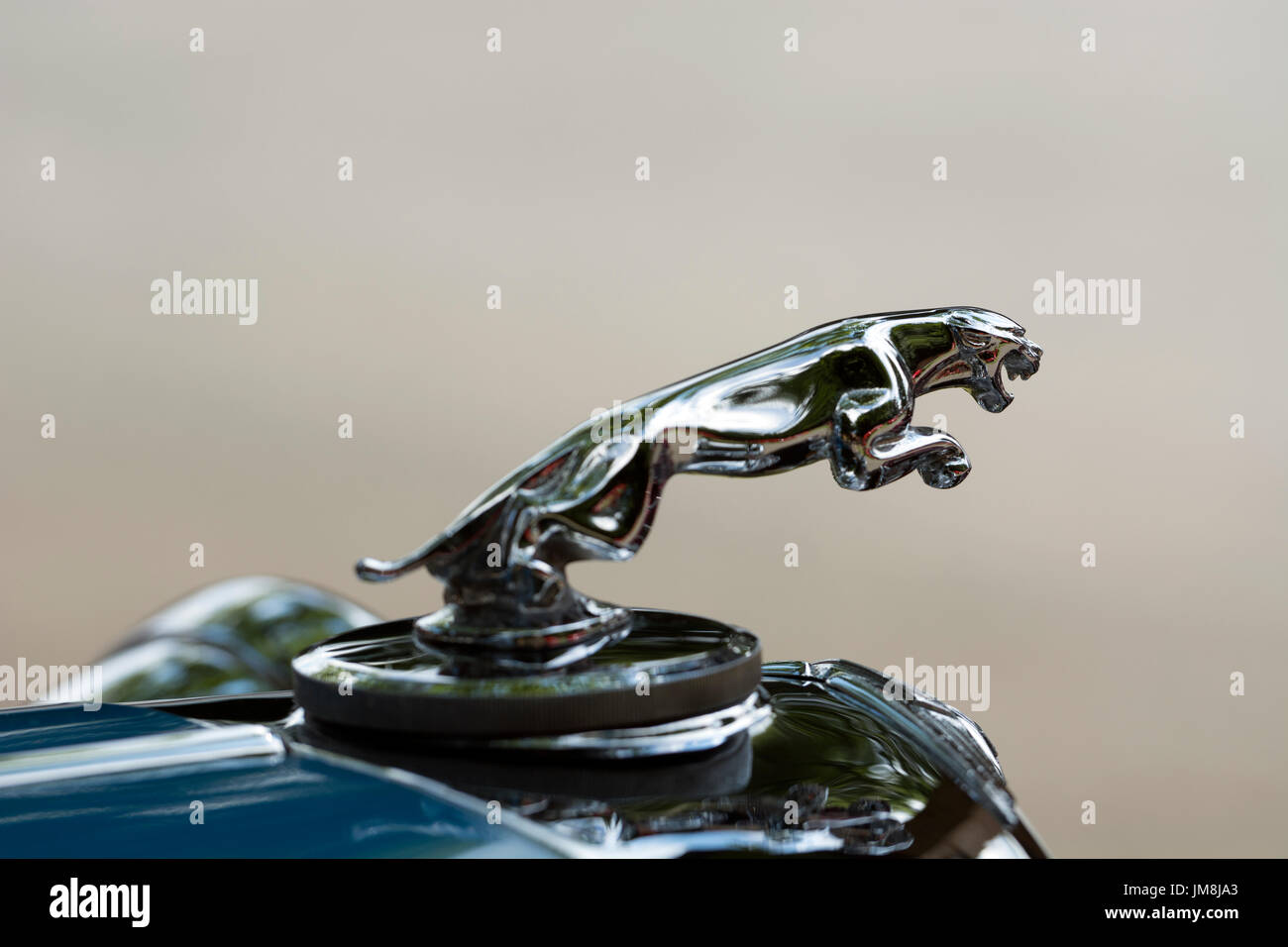 Jaguar Auto Kühlerfigur Stockfoto