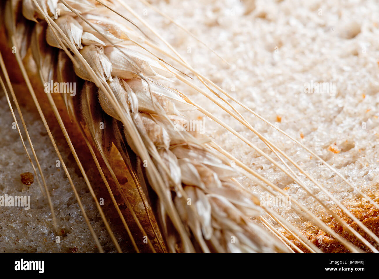 Detail des Weizens auf die Brotscheibe Stockfoto