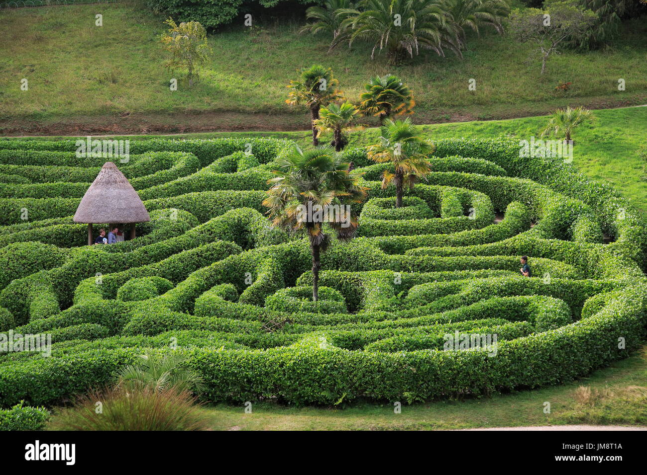 Menschen erkunden das Labyrinth bei Glendurgan Garden, Cornwall, England, UK Stockfoto