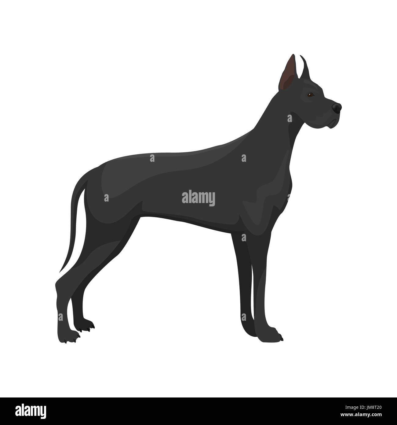 Vektor-Illustration von Dogge Stock Vektor