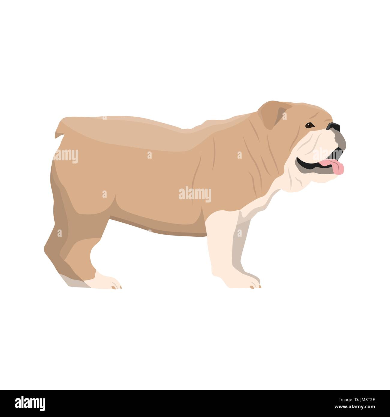 Vektor-Illustration von Bulldog Stock Vektor