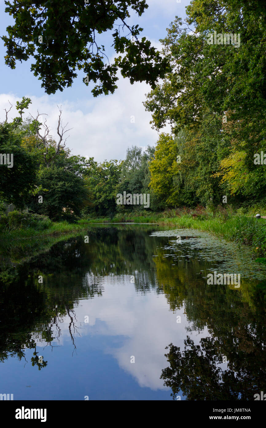 Gehen Sie Weg im Park Wanderung Trail in Basingstoke Canal in Woking, Surrey, England Stockfoto