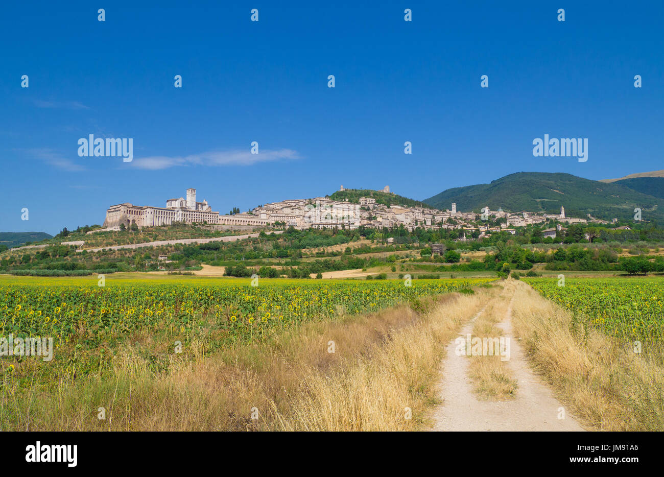 Assisi, Umbrien (Italien) - genial mittelalterlichen steinernen Stadt in Umbrien, mit Schloss und das berühmte Heiligtum des Heiligen Franziskus. Stockfoto