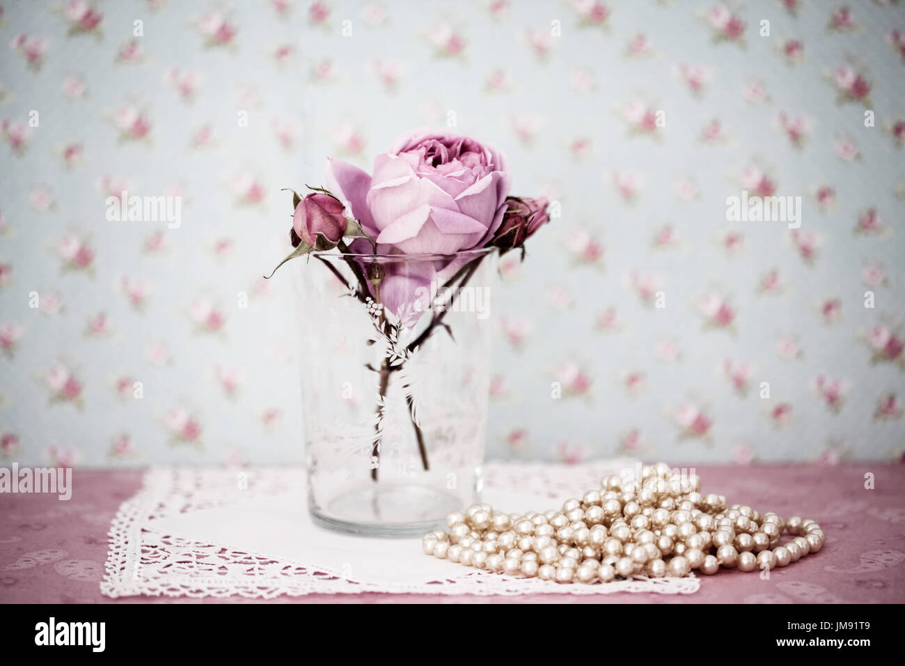 Farbe Fotographie, Nahaufnahme von Rose Geoff Hamilton. Stockfoto