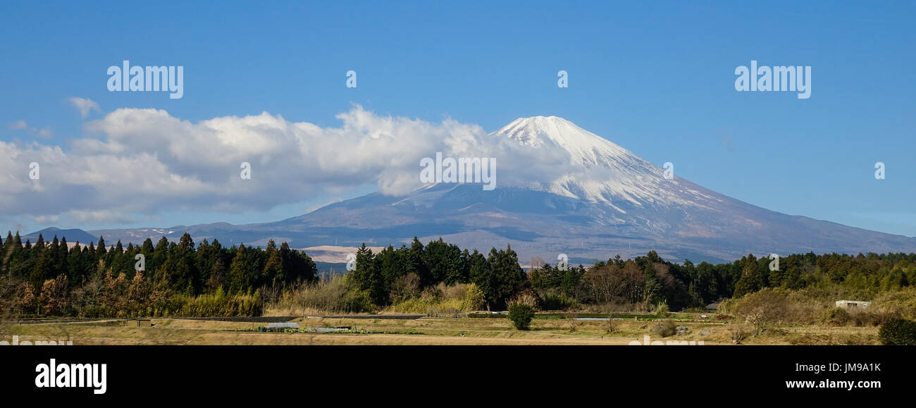 Schöne Aussicht Mt. Fuji mit Schnee, blauer Himmel und getrocknete Grass im Sommer in Yamanashi, Japan. Stockfoto