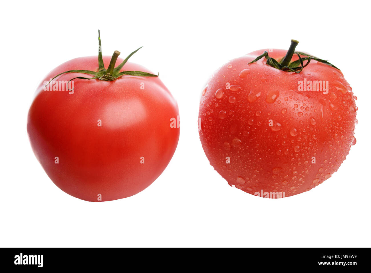 Ripe, appetitliche und leckere rote Tomaten mit Wassertropfen auf einem weißen Hintergrund isoliert gewaschen. Stockfoto