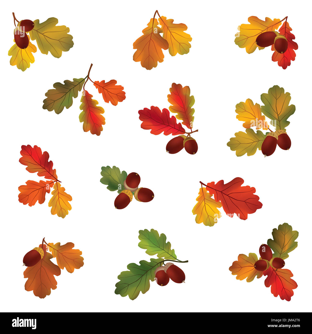 Herbst Symbol gesetzt. Fallen Blätter und Beeren. Natur symbol Vektor Sammlung auf weißem Hintergrund. Stockfoto